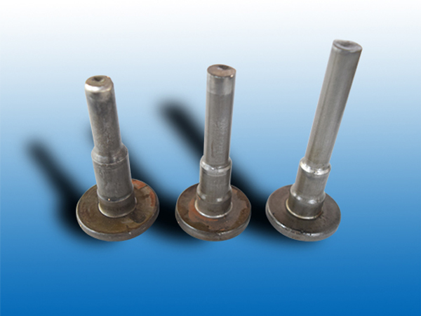 Automotive engine output shaft